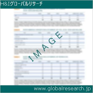 グローバルリサーチ調査レポートのイメージ